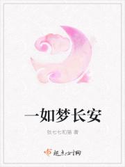 不悔梦长安