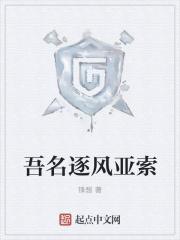 吾名逐风亚索
